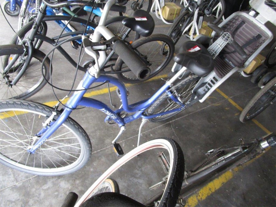 Ladies Step-Through Bike – Townie Electra