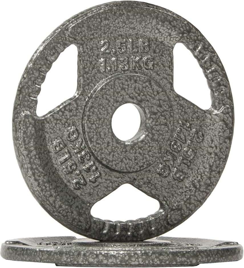 POWERGAINZ Standard 1-Inch Cast Iron Plate 1.13kg Weight Plate for Strength