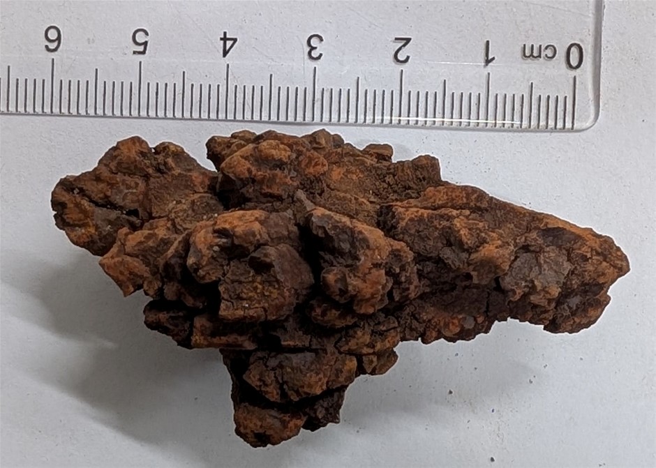 COPROLITE Dinosaur poop Fossil from Madagascar