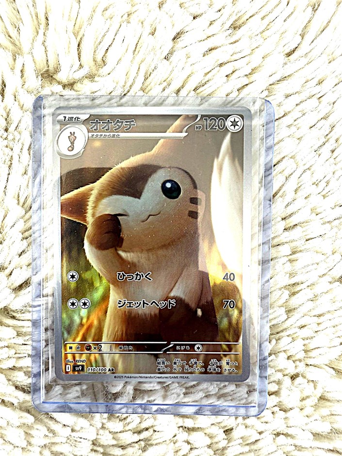 Furret 110/100 AR JPN – Cozy panoramic artwork