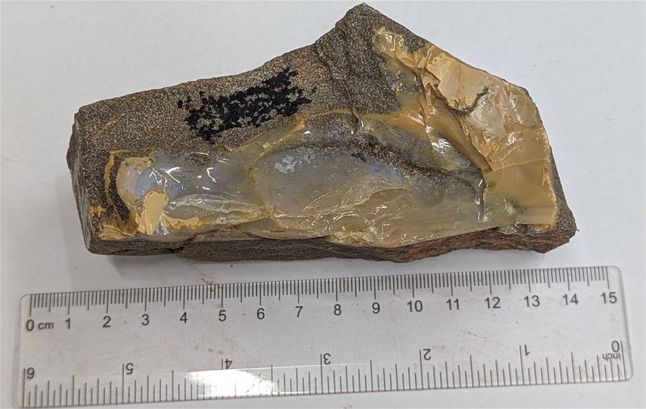470 Gram Queensland BOULDER OPAL Rough
