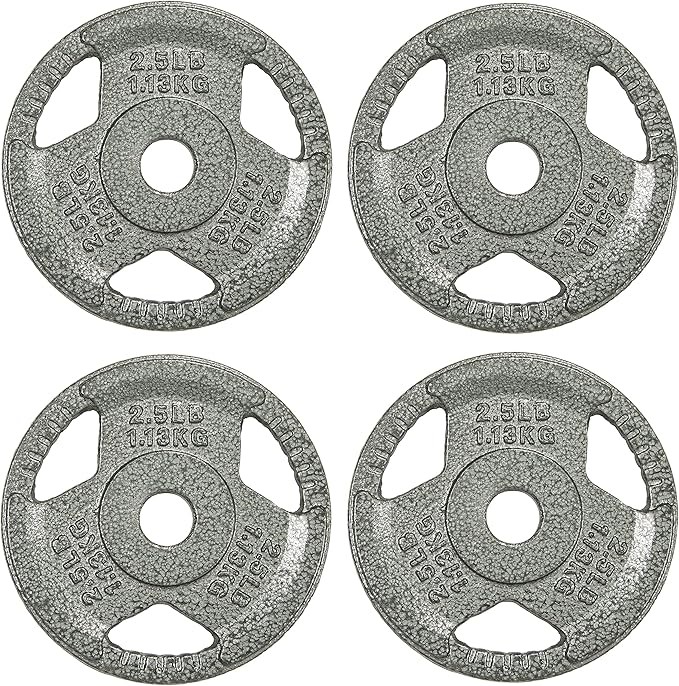2 X Sporzon! Cast Iron Plate Weight Plate for Strength Training, Weightlift