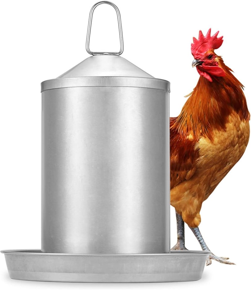 BAINBRIDGE Stainless Steel Poultry Water Drinker, 3 Litre Capacity