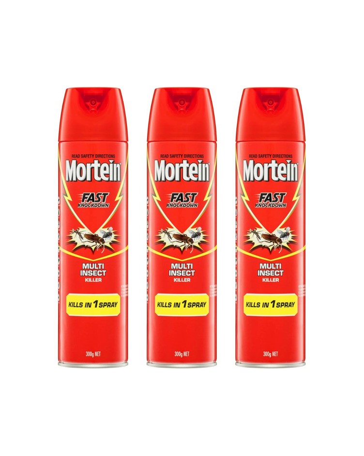 MORTEIN Fast Knock Down Insect Spray Multi Insect Killer 300gm RC0121 (Pack