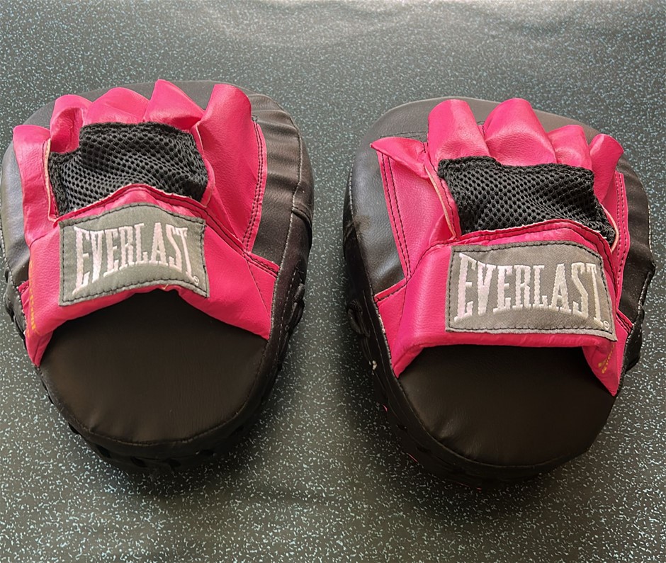 Everlast Tempo Punch Mitts - Pink