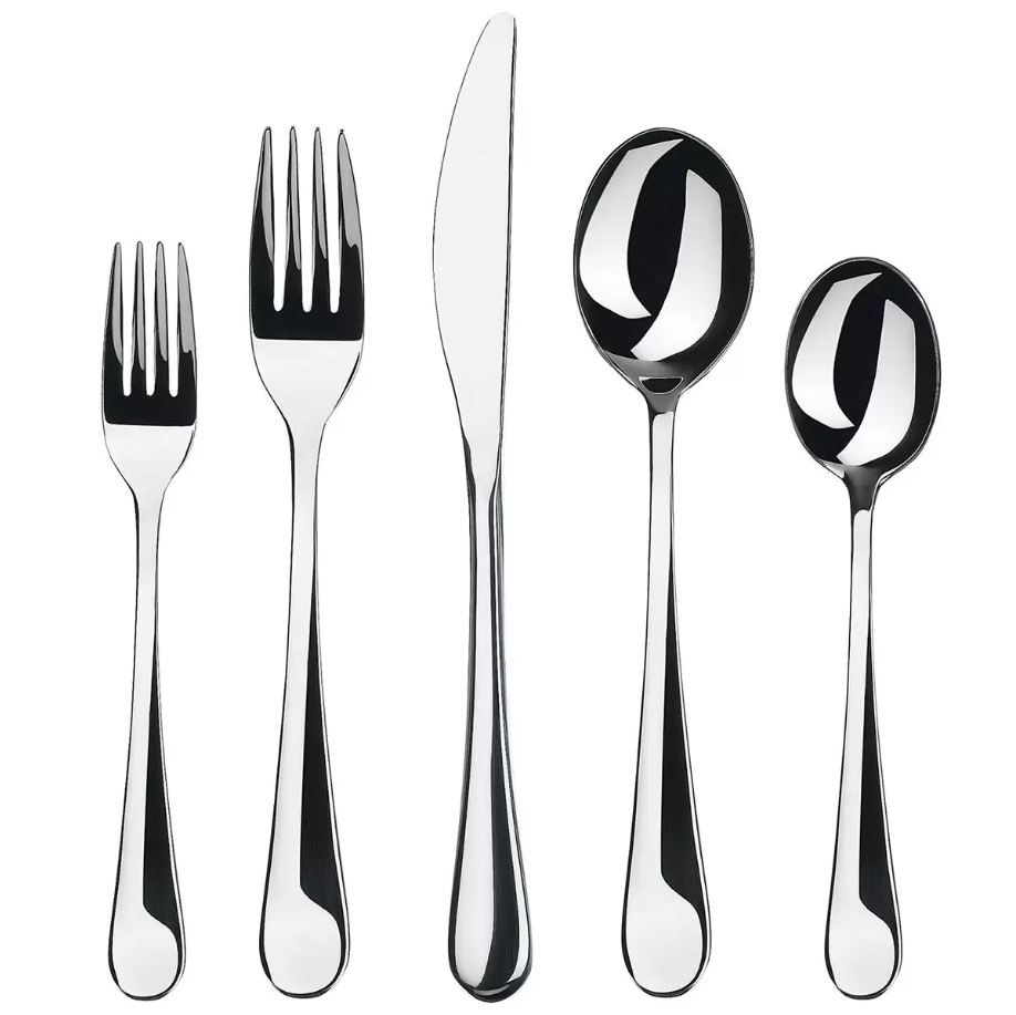 GOURMET SETTINGS 20pc Stainless Steel Flatware Fern Set.