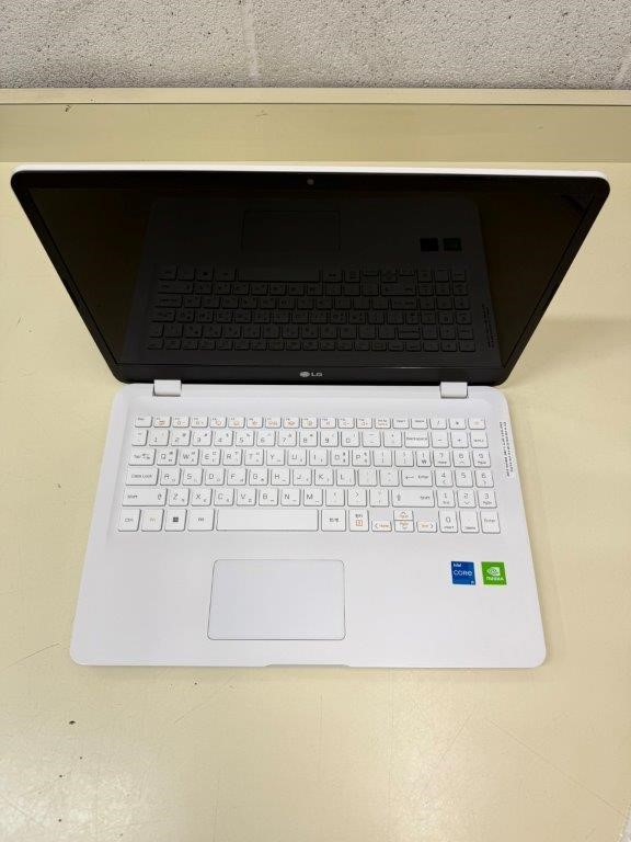 LG Electronics 15U50P-KR5SK 15.6 Inch Notebook