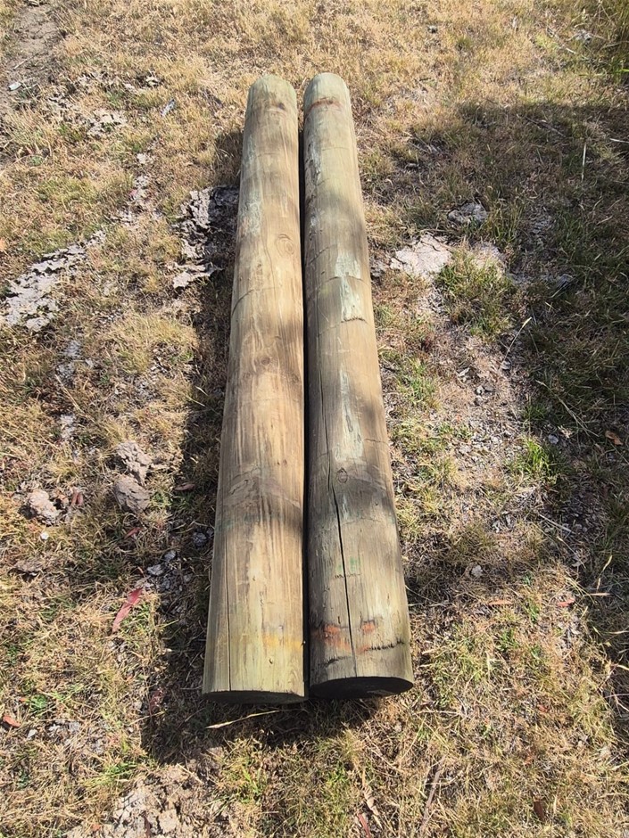 Treated Pine Posts