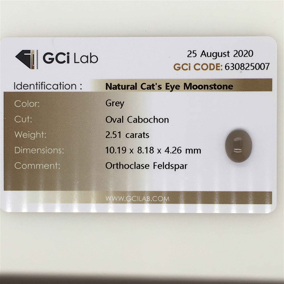2.51ct One Stone Loose Natural Cat`s Eye Moonstone GCi Lab. Cert.