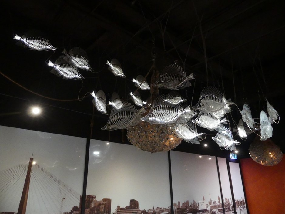 Distinctive Fish Skeleton Light Display Fixtures