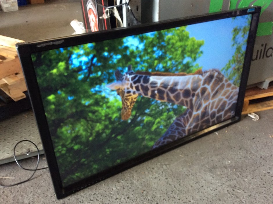 HD Interactive 55 Inch Interactive Display