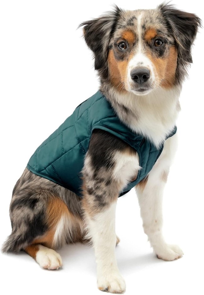 KURGO Loft Dog Jacket, Reversible Dog Coat, Wear with Harness or Sweater, W