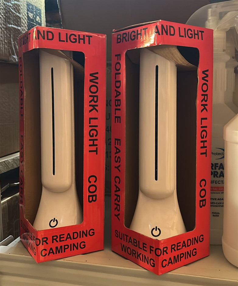 2x LED Work/Study Lights