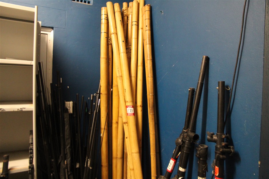 Bamboo Wedding Arch with Canopy Frame