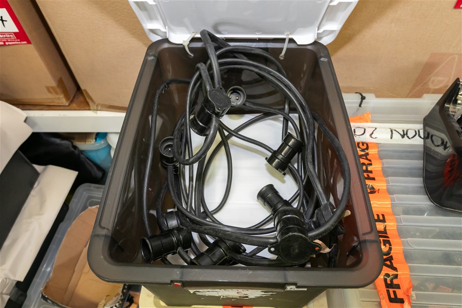 Festoon Colours Lights