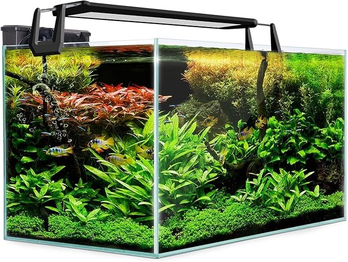 DYNAMIC POWER 70L Starfire Glass Aquarium Fish Tank.