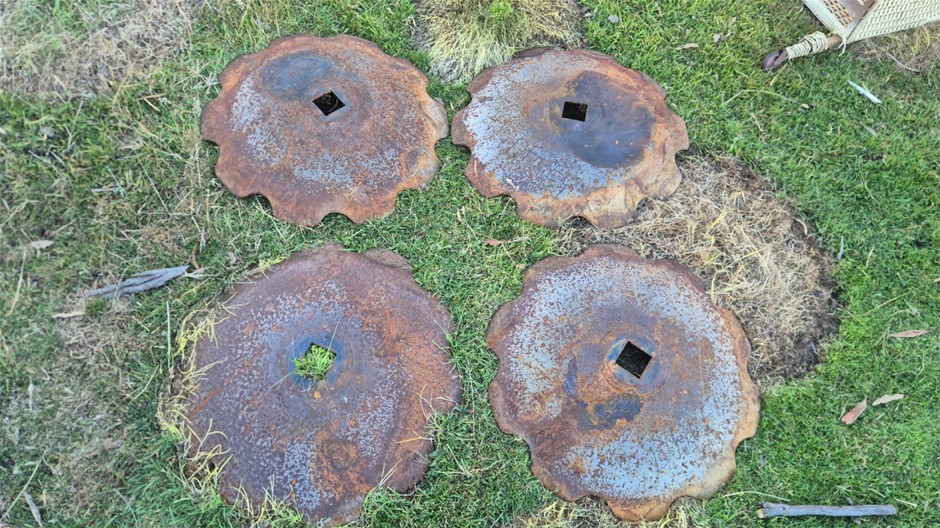 Scalloped Disc Plates - 650mm