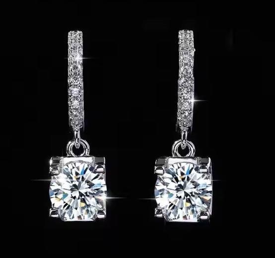 925 Sterling Silver Earrings (s925)