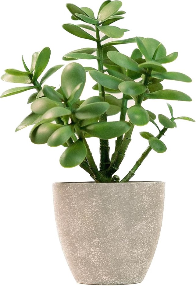 365 Blooming Decor 12” Artificial Jade Plant in Minimalist Gray Pot, Luxury