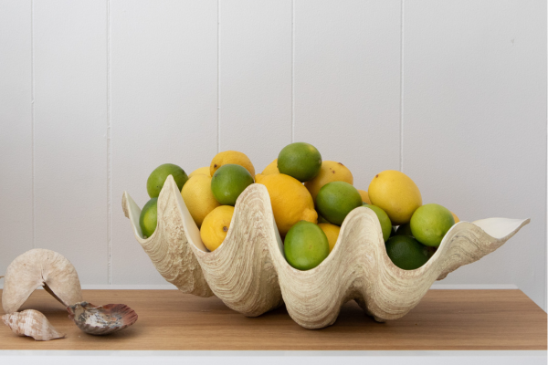 Cream Resin Clamshell Fruit Bowl Décor 52cm Wide NEW Highett VIC pickup