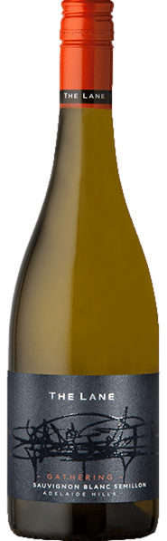 The Lane Gathering Sauvignon Blanc Semil