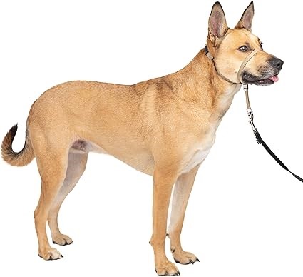 PETSAFE Gentle Leader Headcollar, No-Pull Dog Collar, Medium 25-60 Lb, Fawn