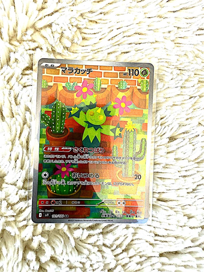 Maractus 101/100 AR Jpn