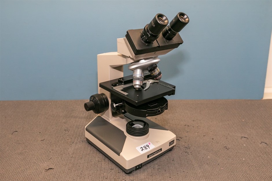 Microscope binocular