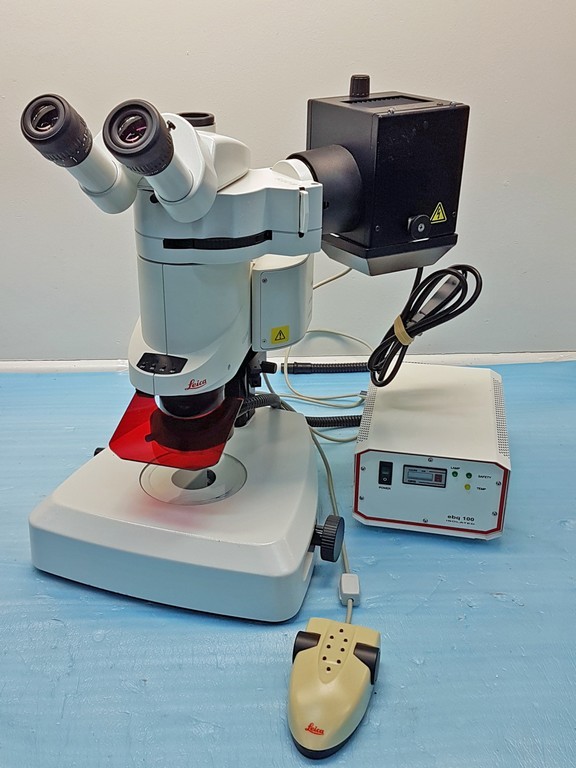 Microscope Fluorescence high-end stereo Trinocular