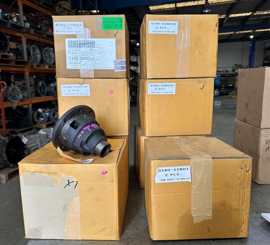 M80 DANA LSD Hemispheres - Genuine Holden/ Borg Warner