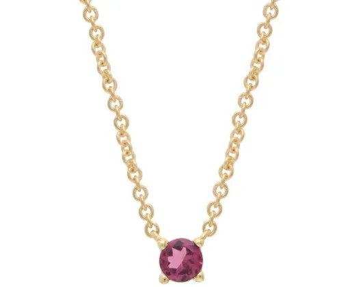 <B>9K Yellow Gold Garnet Claw Necklace 40-45Cm</B><P>