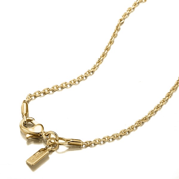 BIJ'OR-18 Inch, 18ct Yellow Gold Plated Anchor Chain Necklace,RRP $79