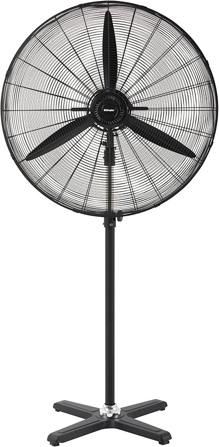 DIMPLEX High Velocity Pedestal Fan, 75 cm.