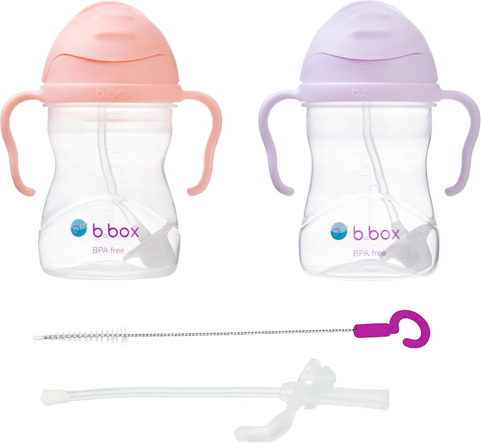 b.Box Sippy Cup 2 Peak + Replacement Straw Cleaner - Tutti Fruitti + Boysen