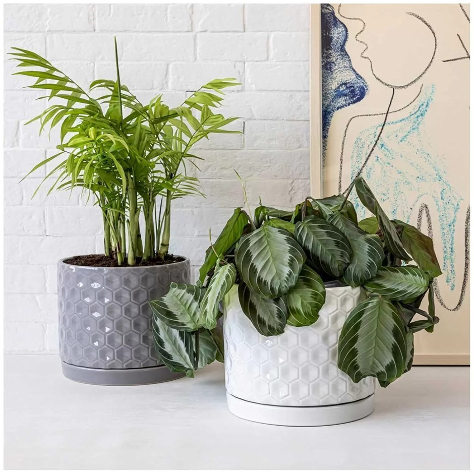 OVER AND BACK 2pc Garden Pots. NB: Not in original packaging, 1 x pot & sau