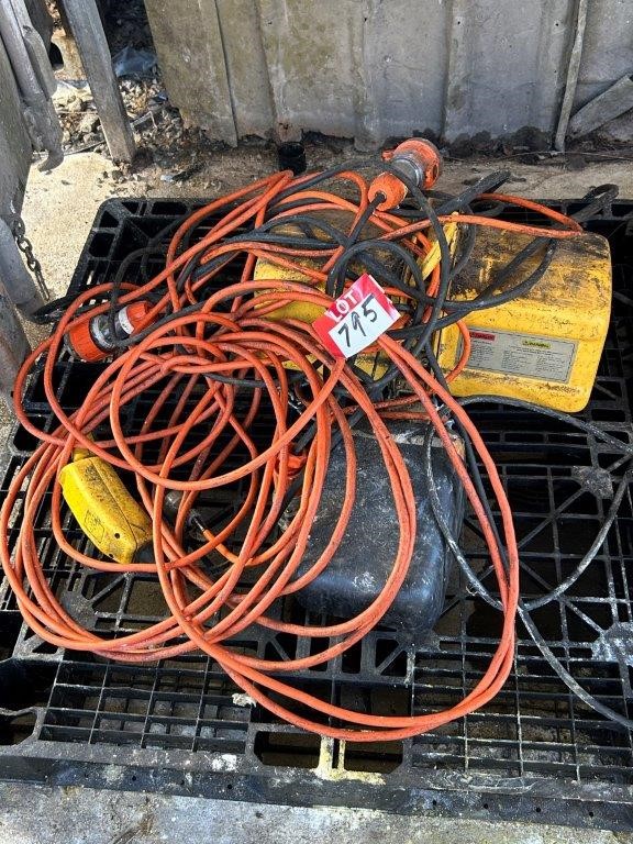 BEAVER LIFTALL 1000kg Rated Capacity Electric Hoist