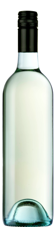 Masterpeace Sauvignon Blanc Cleanskins 2024 (12x 750mL) VIC