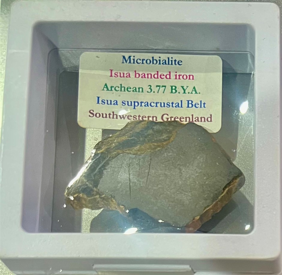 Very rare Microbialite Isua 3.77 billion year Greenland