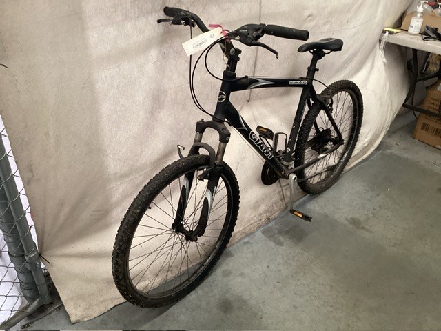 Giant Mountain Bike