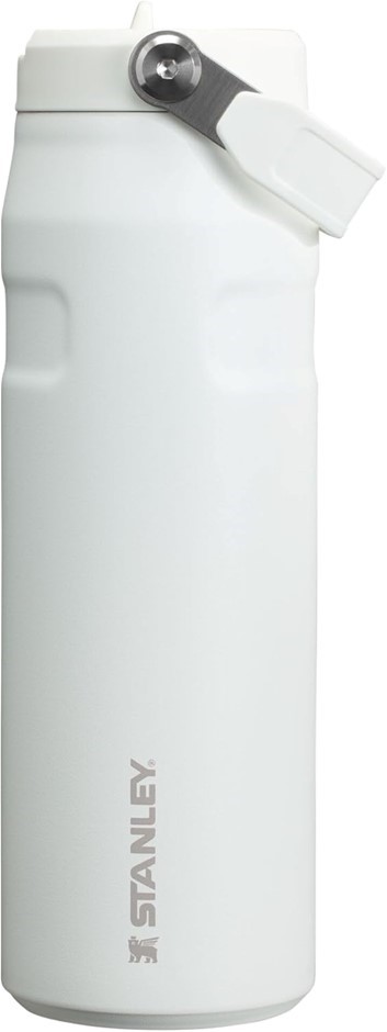 STANLEY The IceFlow Bottle w/ Flip Straw Lid, 24oz, Frost.