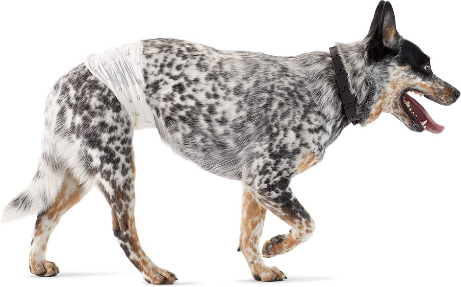 Pack of 30 x AMAZON BASICS Male Dog Wrap, Disposable Diapers, Medium, White