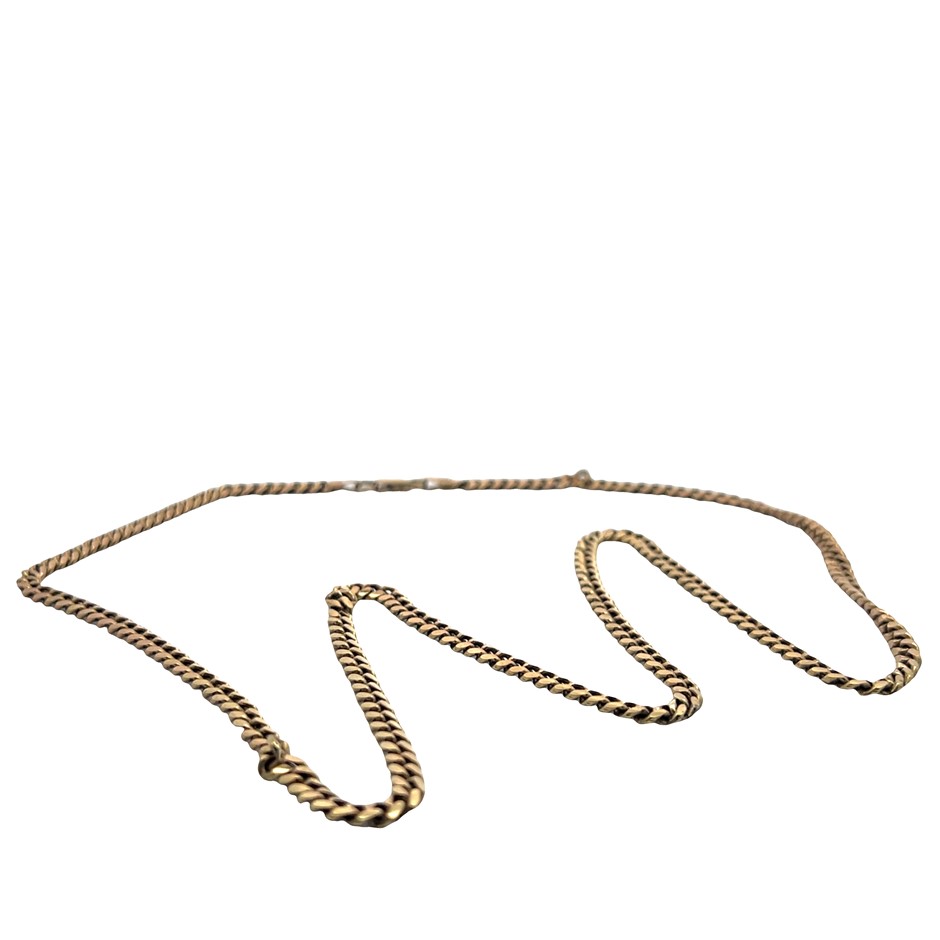 Sterling Silver Gold-plate Curb Link Necklace with Parrot Clasp