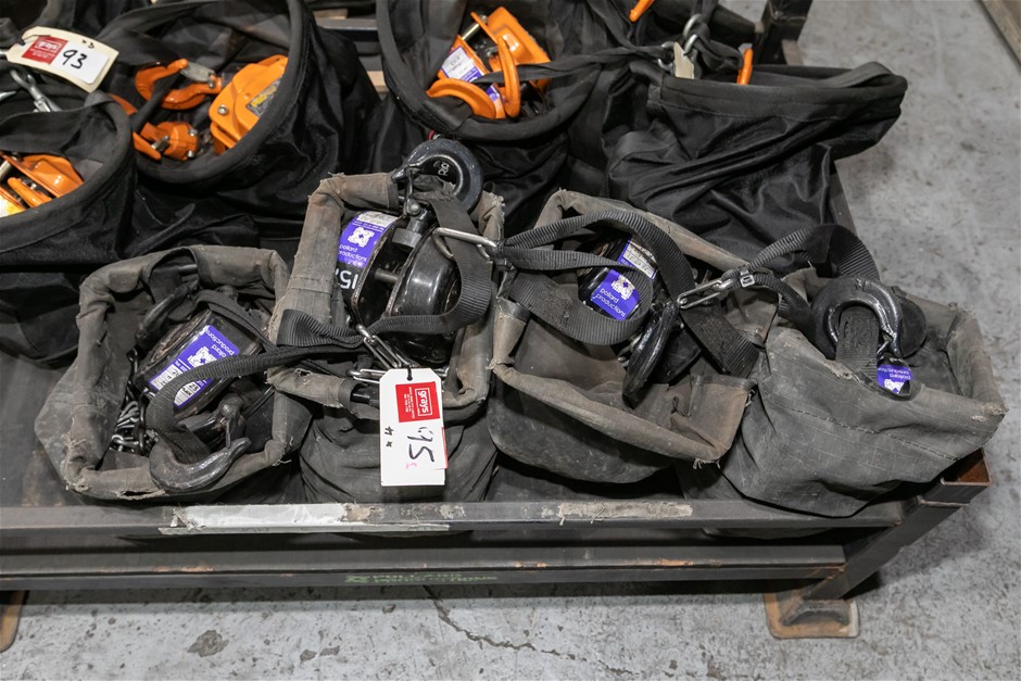 Beaver G3 Chain Block Hoists with Carry Bags