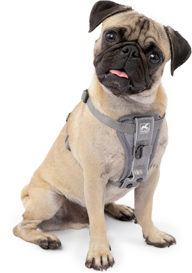 KURGO Tru-Fit Smart Harness, Dog Harness, Includes Dog Seat Belt Tether Gre