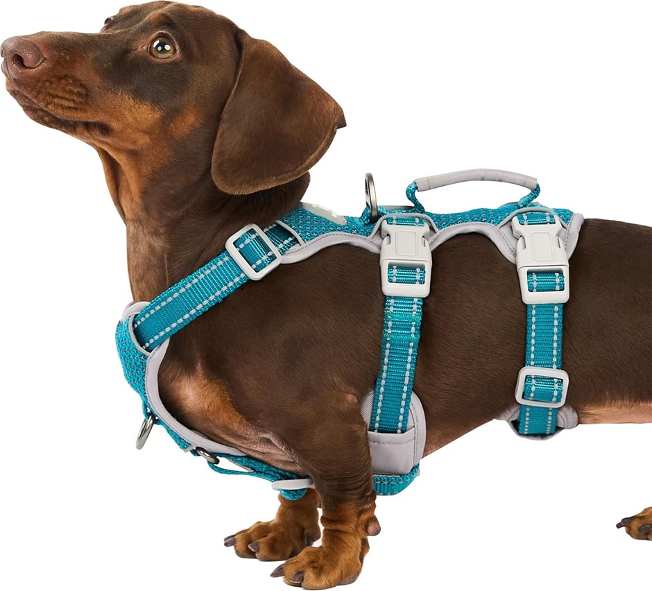 HUNTBOO Escape Proof Dog Harness, Fully Reflective, Blue, XS.