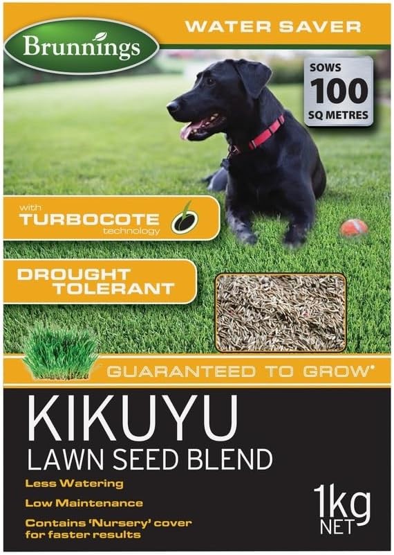 Brunning Kikuyu Lawn Seed Blend 1 kg, Brown. NB: damaged packaging.
