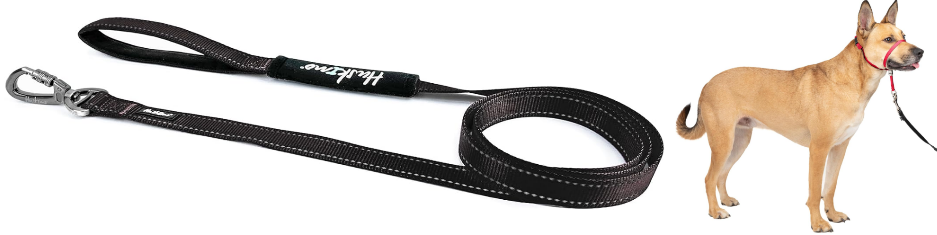 BUNDLE of PETSAFE Gentle Leader No-Pull Dog Headcollar, Size Medium, Red +