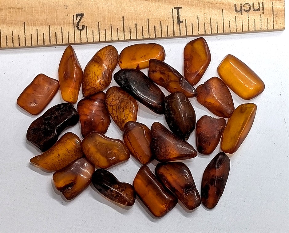 Two dozen BALTIC AMBER Specimens with partial insect plant inclusions