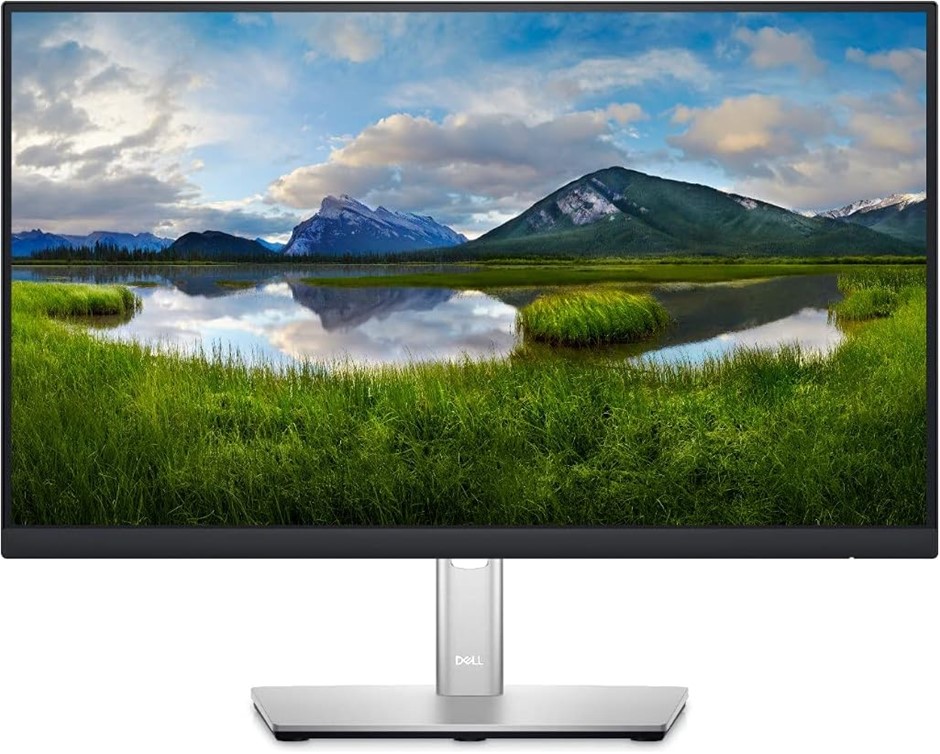 Dell P2222H 22-Inch Monitor