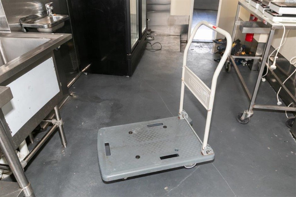 Mobile Platform Trolley